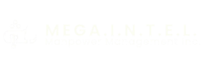 Mega I.N.T.E.L.